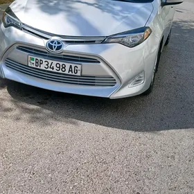 Toyota Corolla 2016