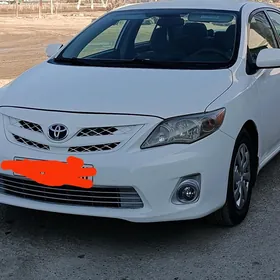 Toyota Corolla 2010