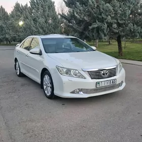 Toyota Aurion 2013