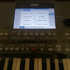 Korg pa 600