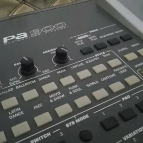 Korg Pa900