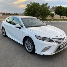 Toyota Camry 2020