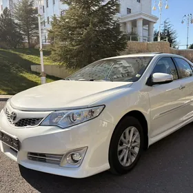 Toyota Camry 2013