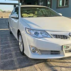 Toyota Camry 2013