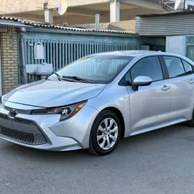 Toyota Corolla 2021