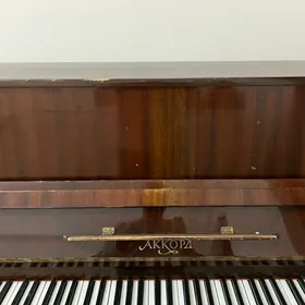 akkord pianino