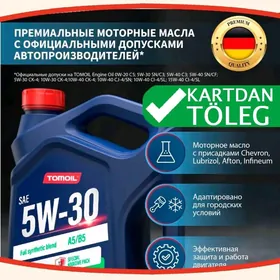 MOTOR YAGY TOMOIL МОТОРНОЕ МАС