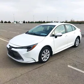 Toyota Corolla 2019