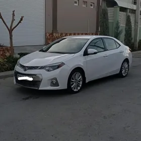 Toyota Corolla 2014