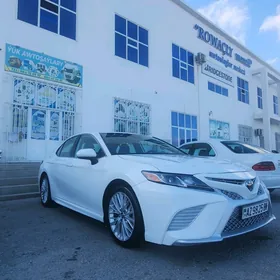 Toyota Camry 2019