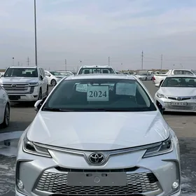 Toyota Corolla 2024