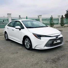 Toyota Corolla 2020