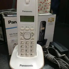 Panasonic