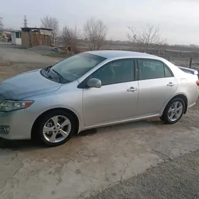 Toyota Corolla 2009