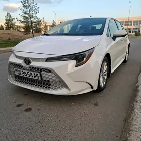 Toyota Corolla 2021