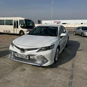 Toyota Camry 2019