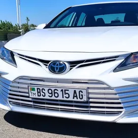 Toyota Camry 2019