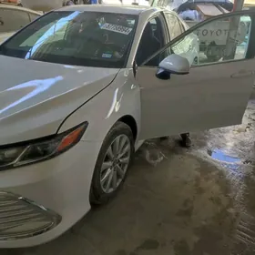 Toyota Camry 2020