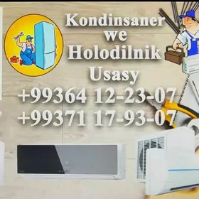 Kondisioner holaldilnik ussasy