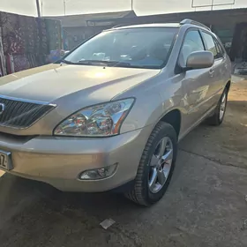 Lexus RX 330 2004