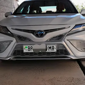 Toyota Camry 2019