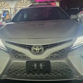 Toyota Camry 2019