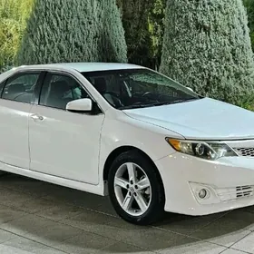 Toyota Camry 2013