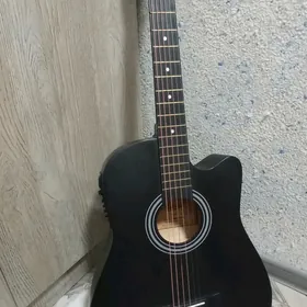 Elektro Akustik Gitara