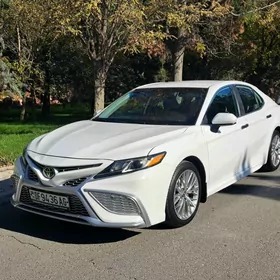 Toyota Camry 2019