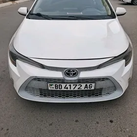 Toyota Corolla 2020