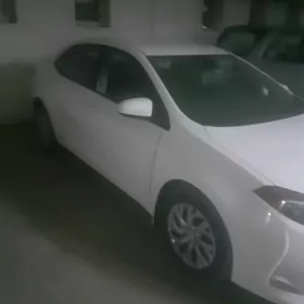 Toyota Corolla 2019