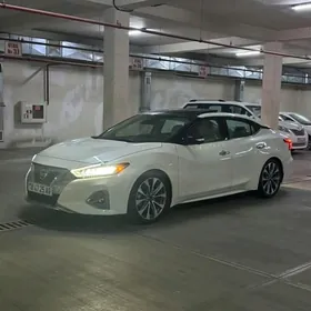 Nissan Maxima 2021