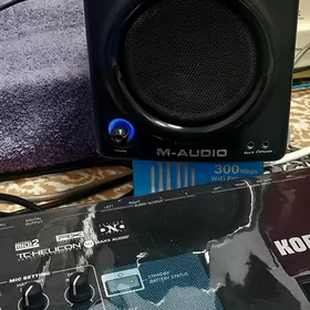 M-Audio kalonka