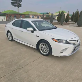 Toyota Camry 2020