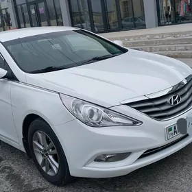 Hyundai Sonata 2010