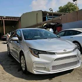 Toyota Corolla 2019