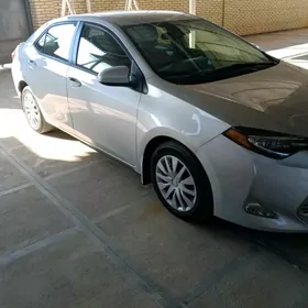 Toyota Corolla 2019