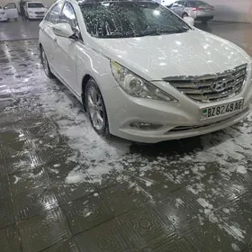 Hyundai Sonata 2010