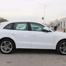 Audi Q5 2010