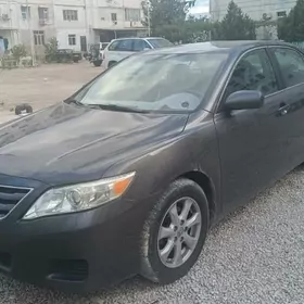 Toyota Camry 2010