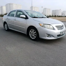 Toyota Corolla 2010