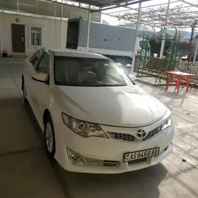 Toyota Camry 2013