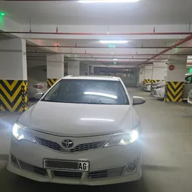 Toyota Camry 2013