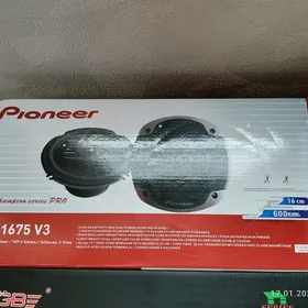Kalonka pioneer 1675V3 600v