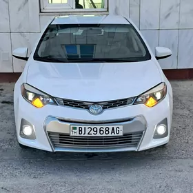 Toyota Corolla 2014