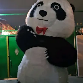 PANDA MISKA