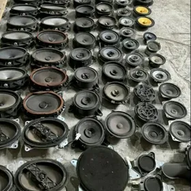 kalonkalar jbl