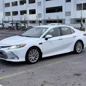 Toyota Camry 2020