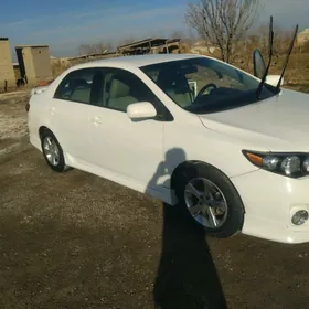 Toyota Corolla 2011