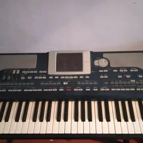 KORG PA800